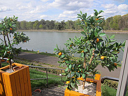 Grobbendonk - Restaurant met groot zomerterras aan het water in de Zuiderkempen