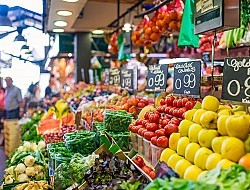 Oost- en West-Vlaanderen - Bloeiende markthandel groenten en fruit over te nemen