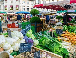 Regio West-Vlaanderen - Overname Markthandel in verse vis & visbereidingen